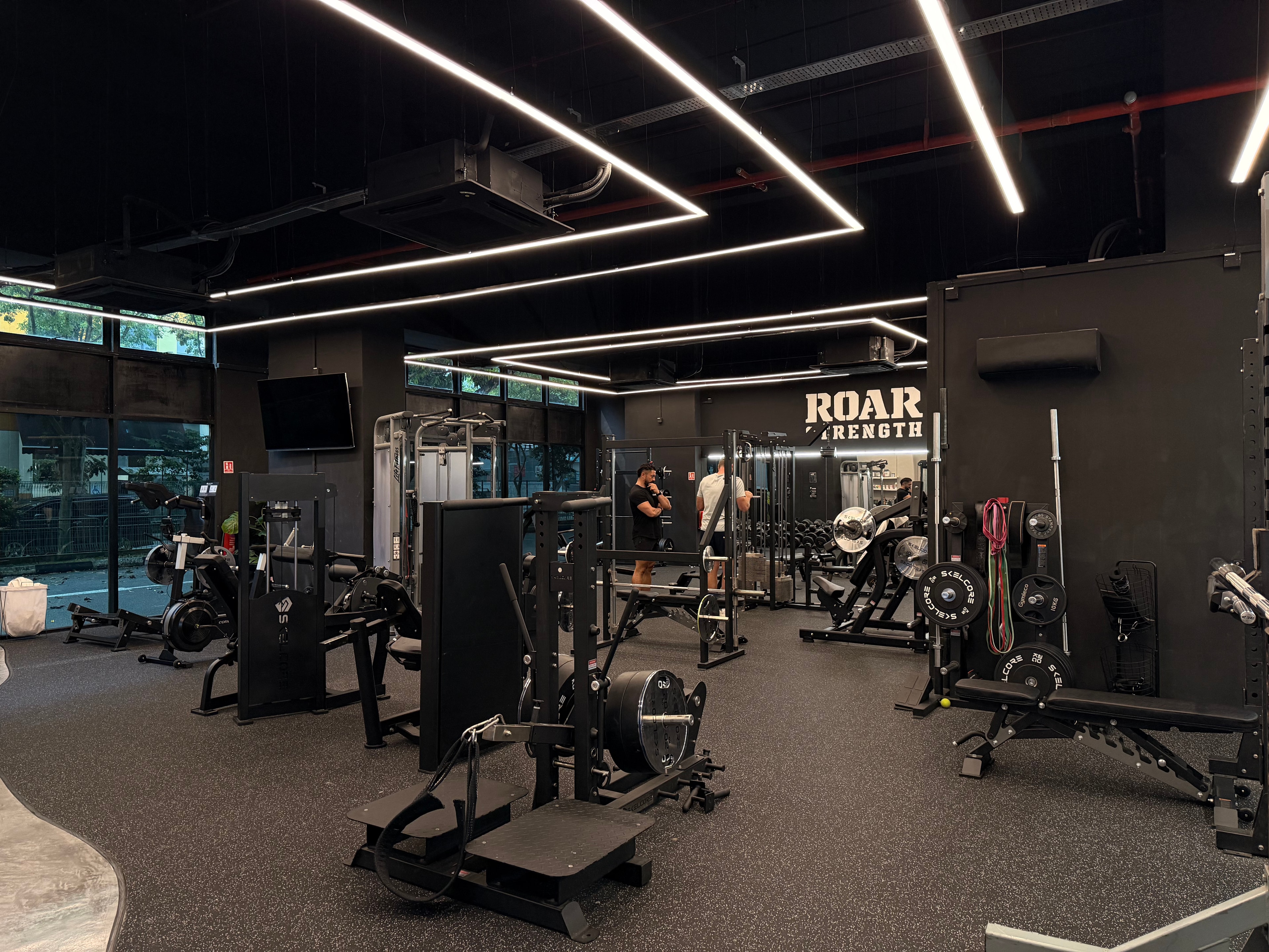 ROAR Gym strength area