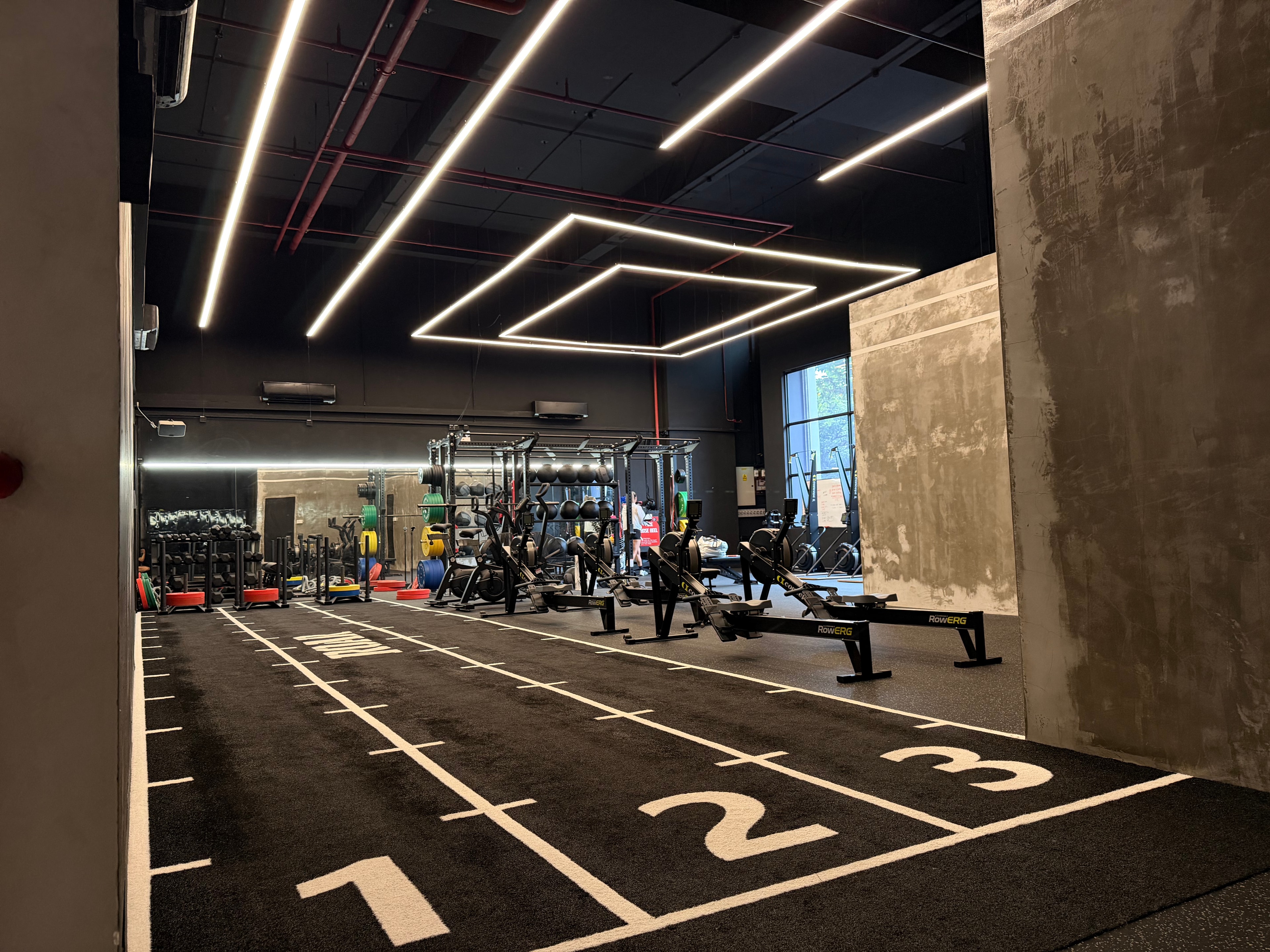 ROAR Gym neon lighting